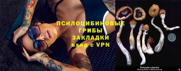 бутират Зеленодольск