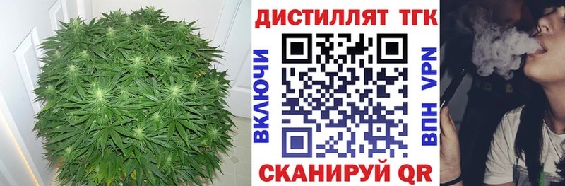 Купить  Боготол  Дистиллят ТГК жижа 