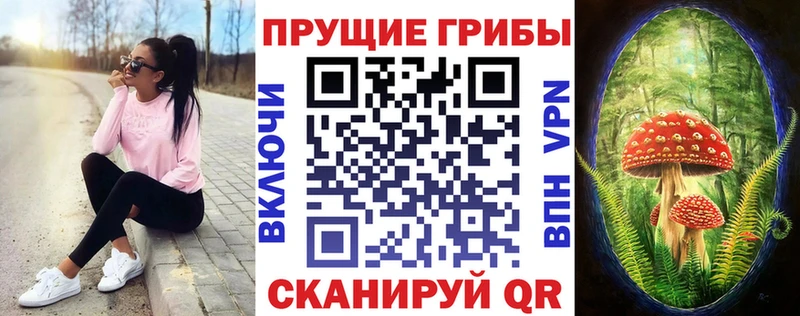 Псилоцибиновые грибы Psilocybe  Купить закладки  Боготол 
